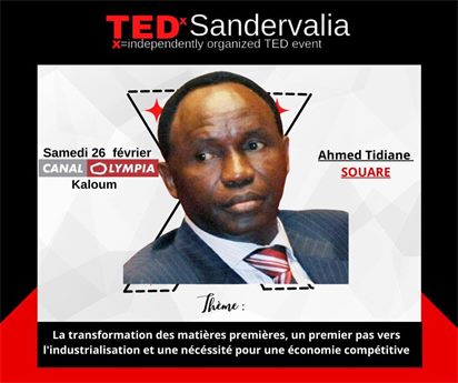 Affiche du talk d'Ahmed Tidiane Souaré, TEDxSandervalia 2022